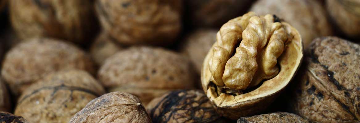 Walnoten bewaren