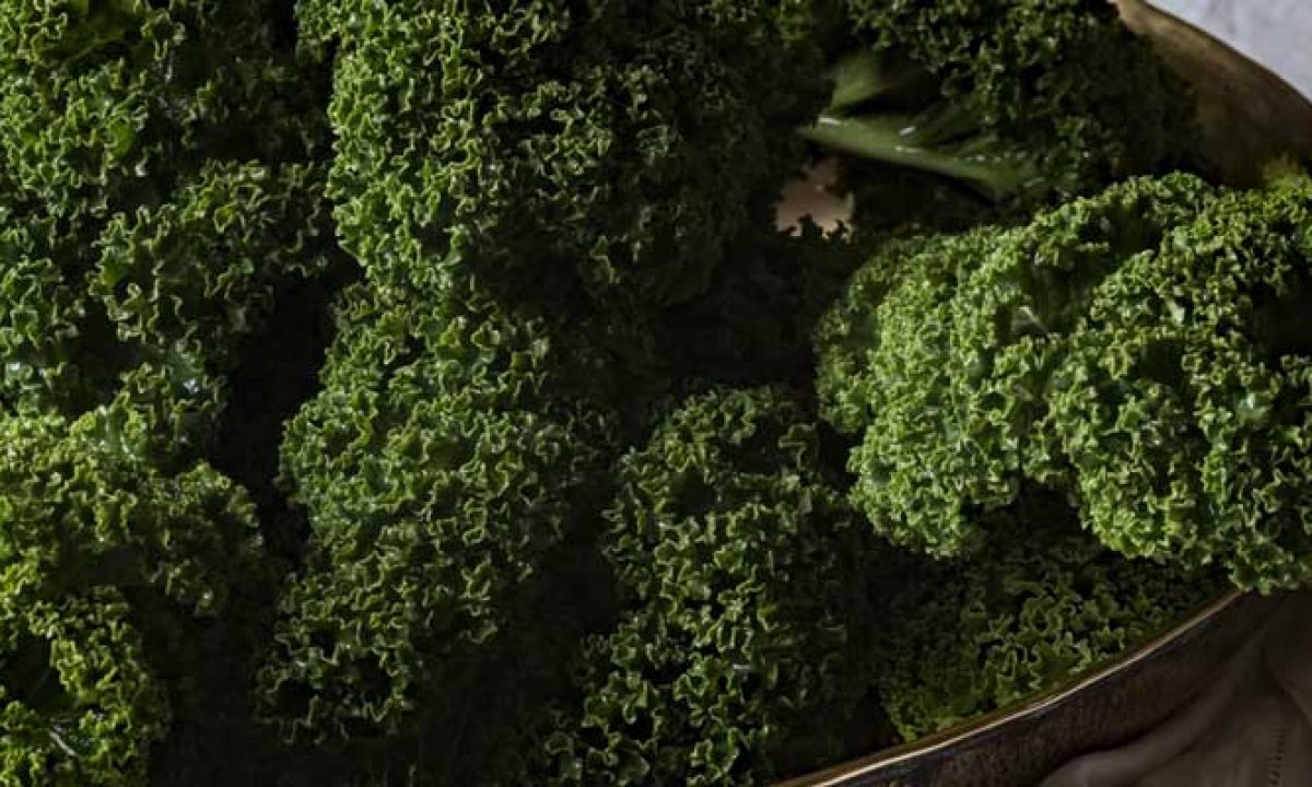 Boerenkool Bewaren Kun Je Op Verschillende Manieren Doen