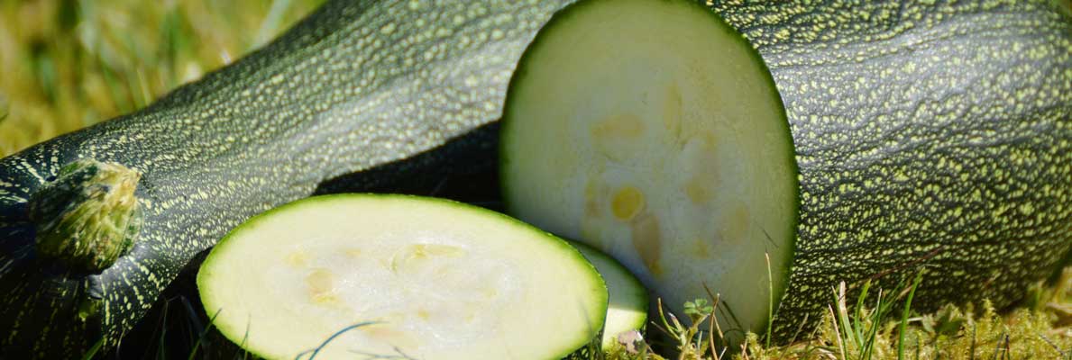 Courgette bewaren