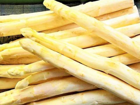 Witte asperges bewaren