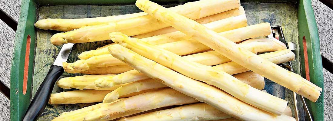 Witte asperges bewaren