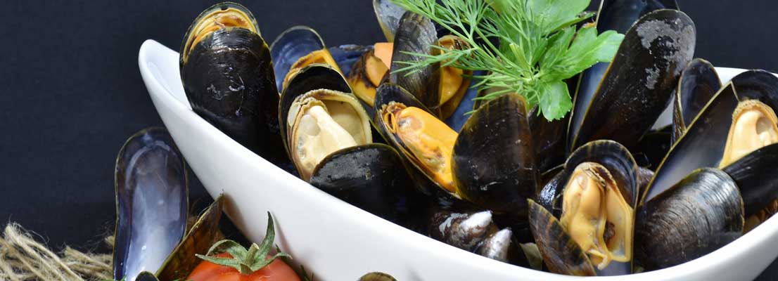Mosselen bewaren