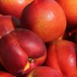 Nectarines bewaren