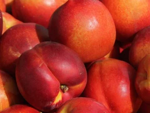 Nectarines bewaren