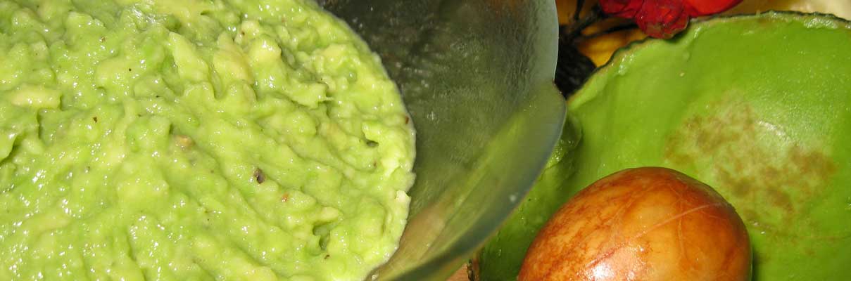 Guacamole bewaren