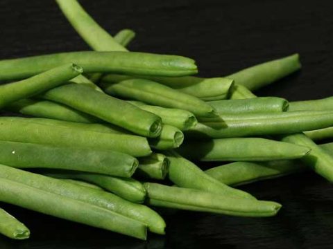 Haricots verts bewaren