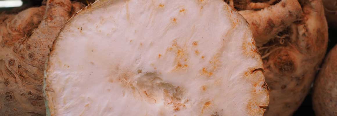 Knolselderij bewaren