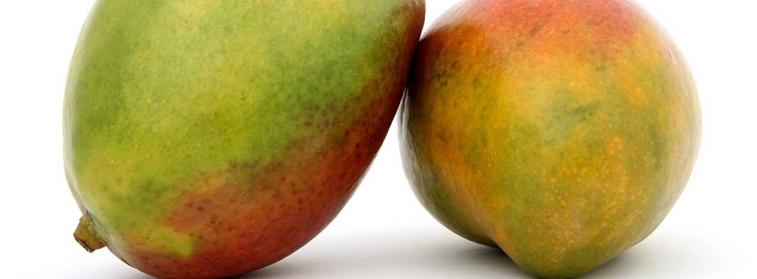 Mango bewaren